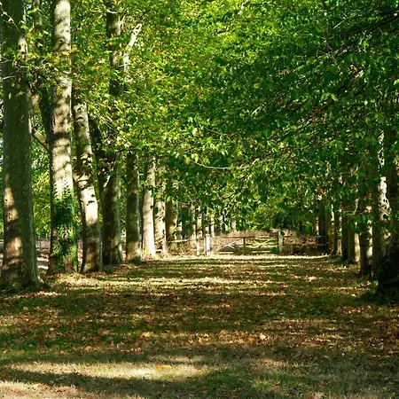 Château De Bed & Breakfast Thouaré-sur-Loire