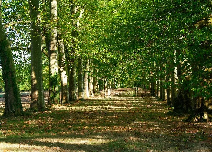 Château De Couette-café Thouaré-sur-Loire