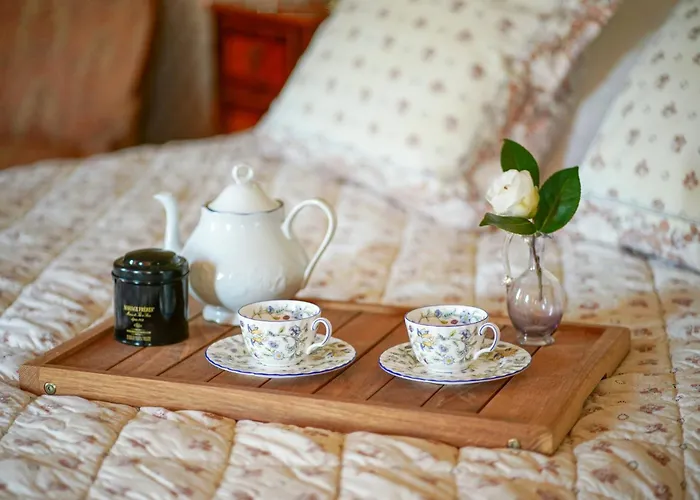 Château De Thouaré-sur-Loire